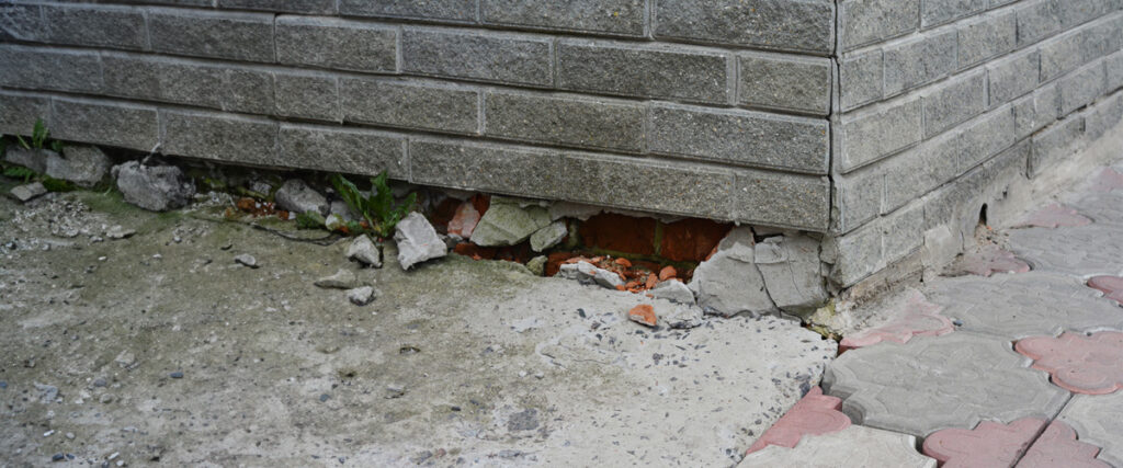 Common Causes of Foundation Damage